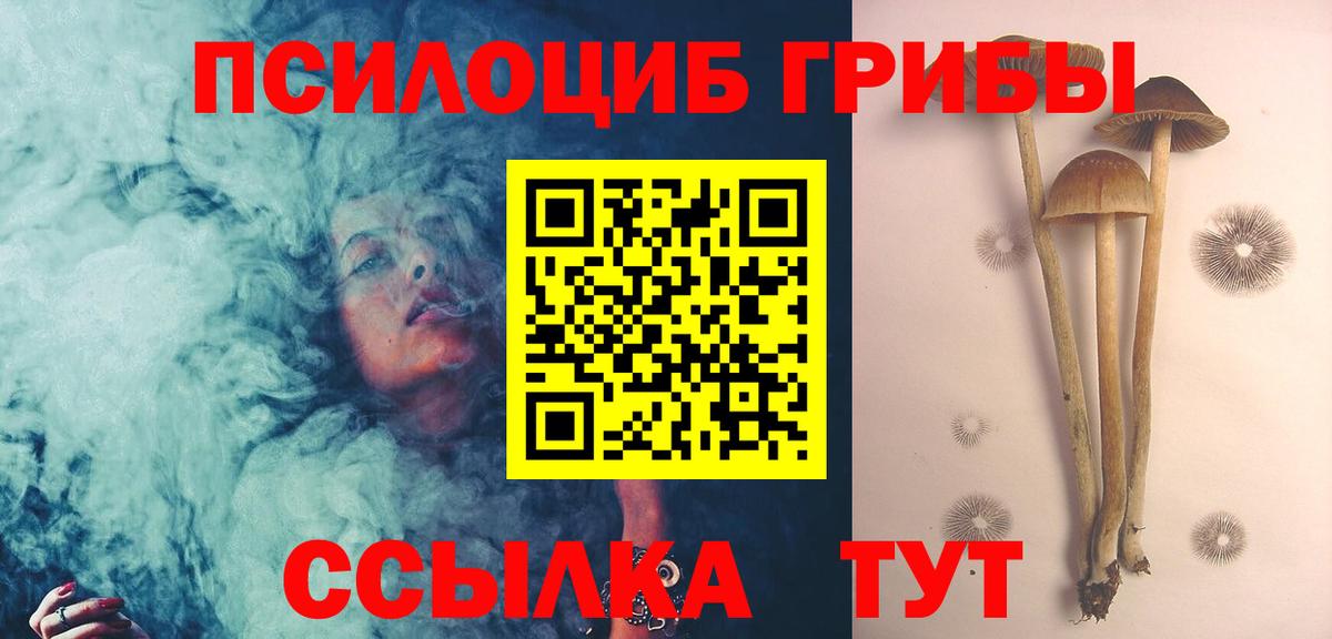 Саянск  Псилоцибиновые грибы Magic Shrooms  Вход с VPN 